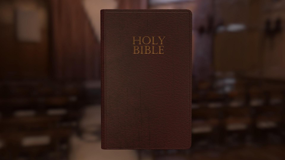 niv-bible