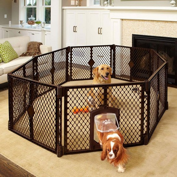 Chewy pet playpen shop