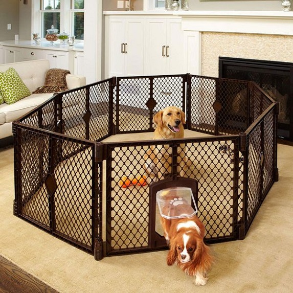 best dog playpen