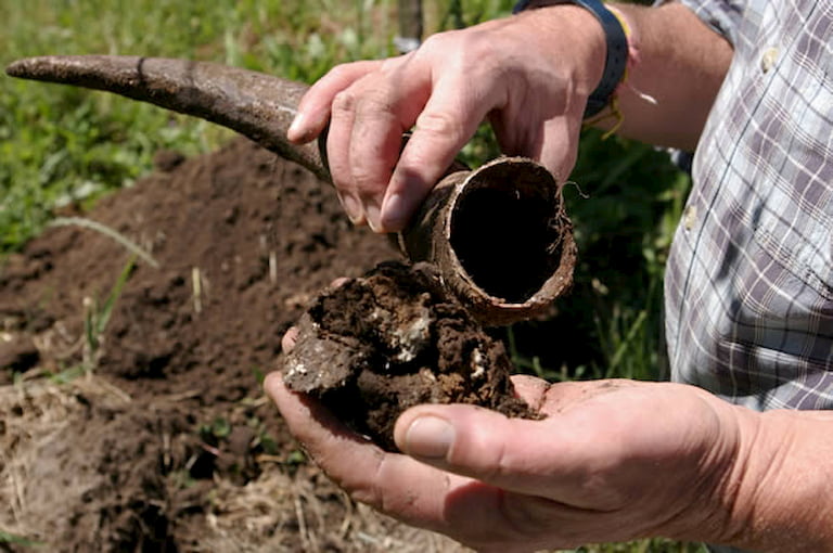 biodynamic wine farming