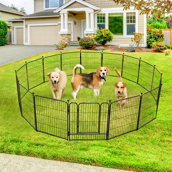 dogs with playpens