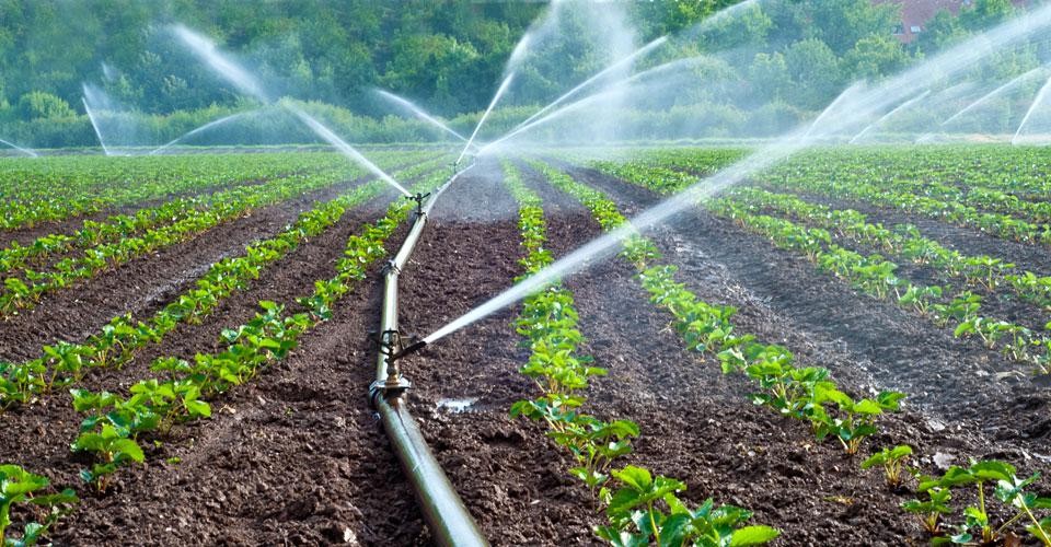 travelling-irrigator-hose-960x500.jpg