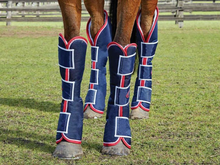 horse float boots1 3Steps