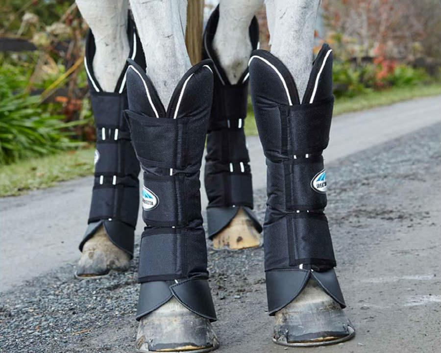 horse-float-boots3.jpg