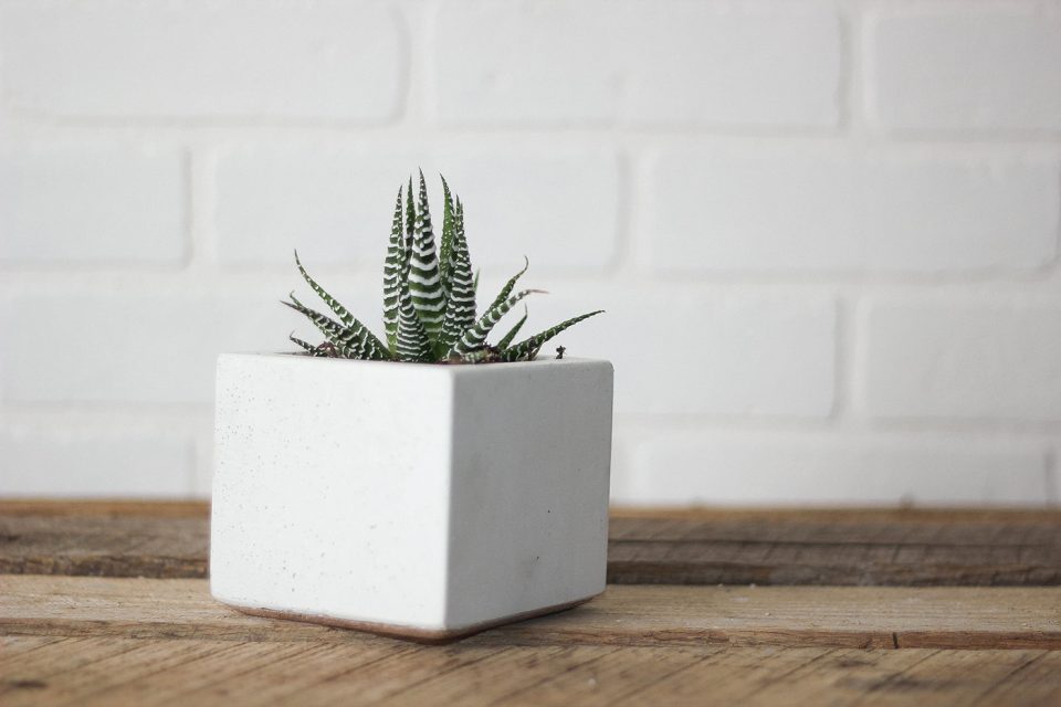 Concret-Pots-16-960x640.jpg