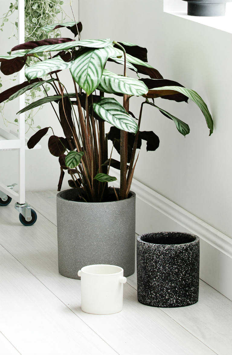 beautiful concrete plant pots