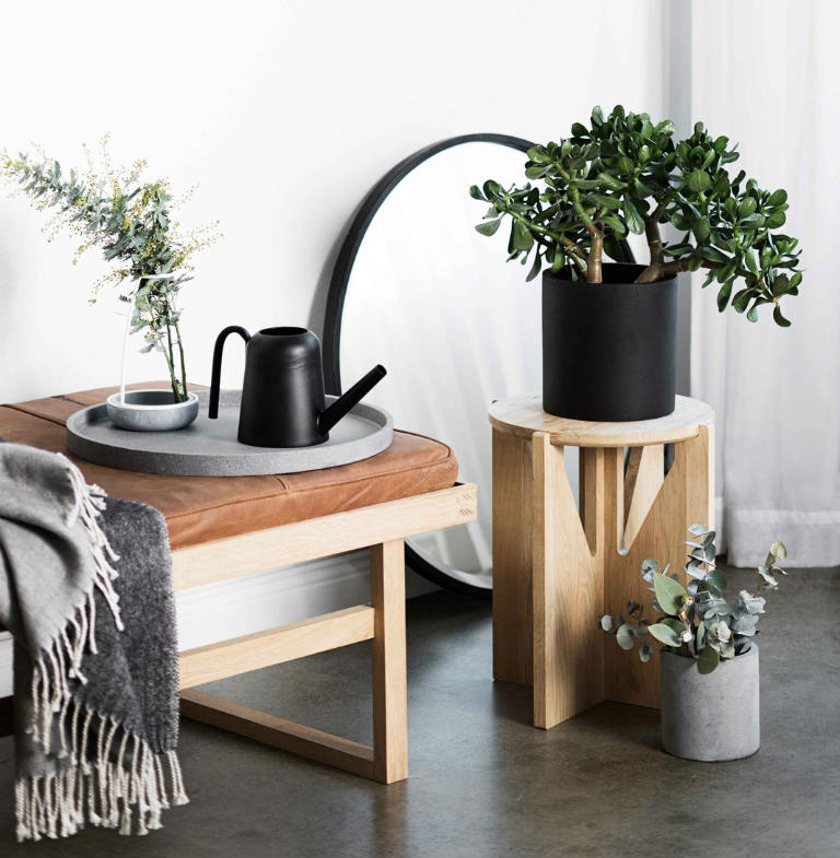 home decoration with concrete plant pots