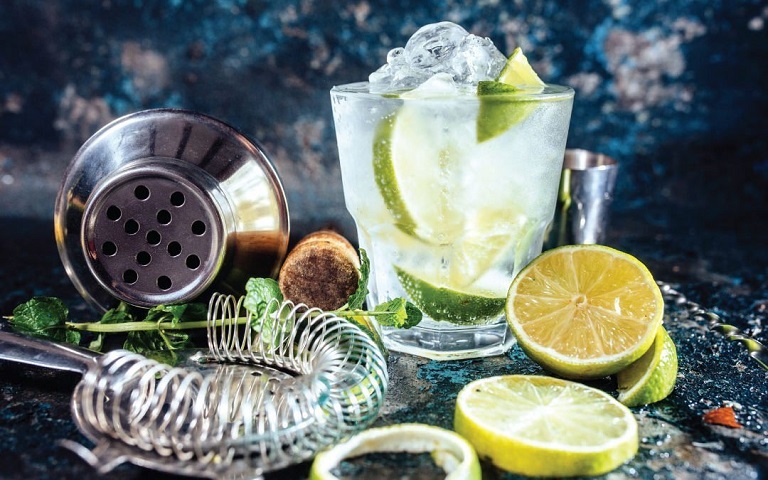 gin and tonic with green lemons and other things