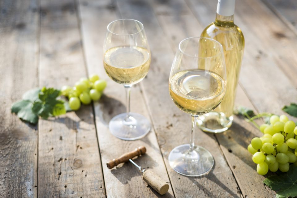 Two glasses of white organic wine