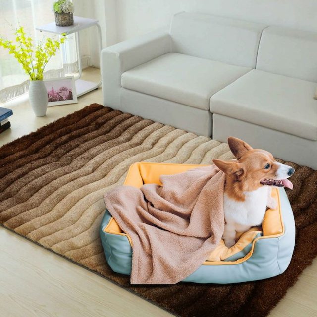 A Guide to Dog Blankets Keep Your Furry Friend Warm and Comfortable