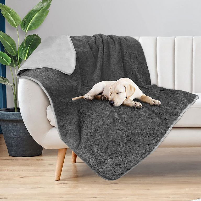 dog sleeping on a blanket