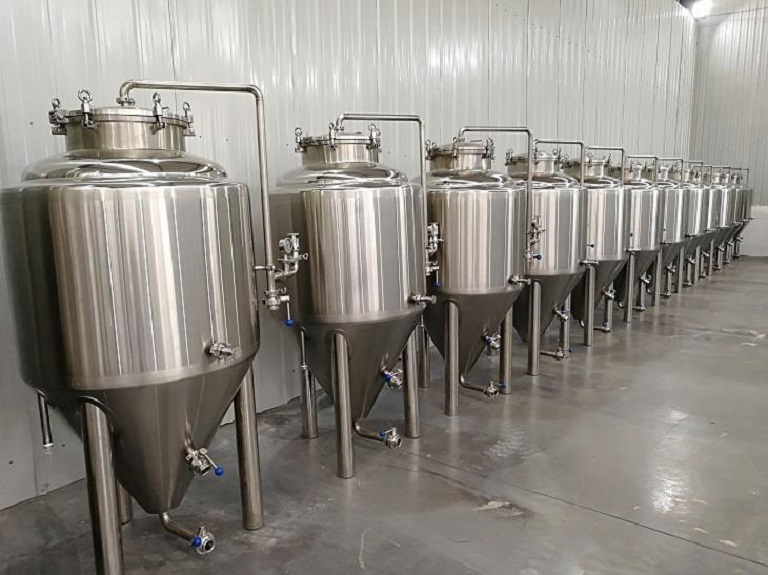 Fermenters for brewing