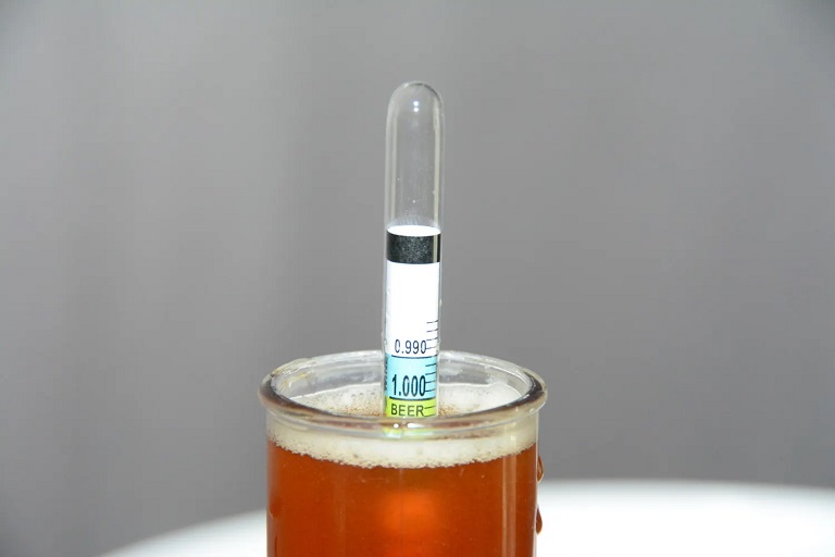 Hydrometer for brewing