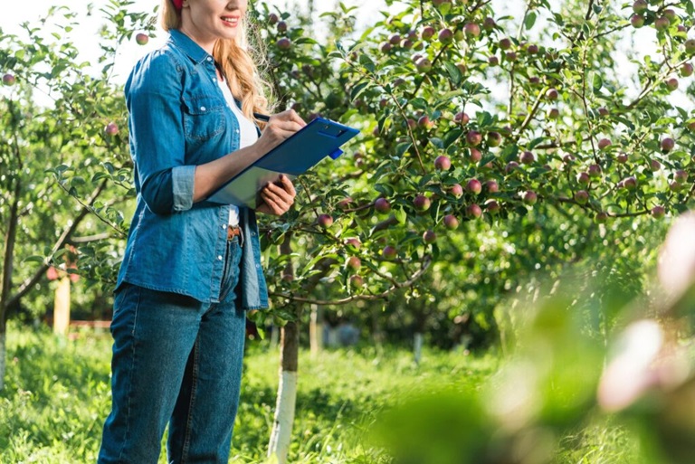 professional-arborist-reports-featured1.jpg