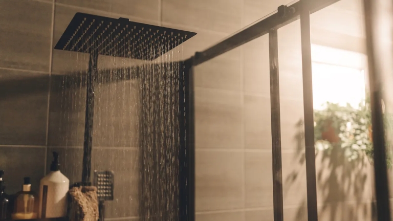 shower_head.jpg