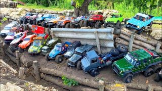rc cars